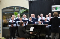 2013-05-26- voorjaarsconcert-DSC_0487.jpg